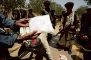 mo image