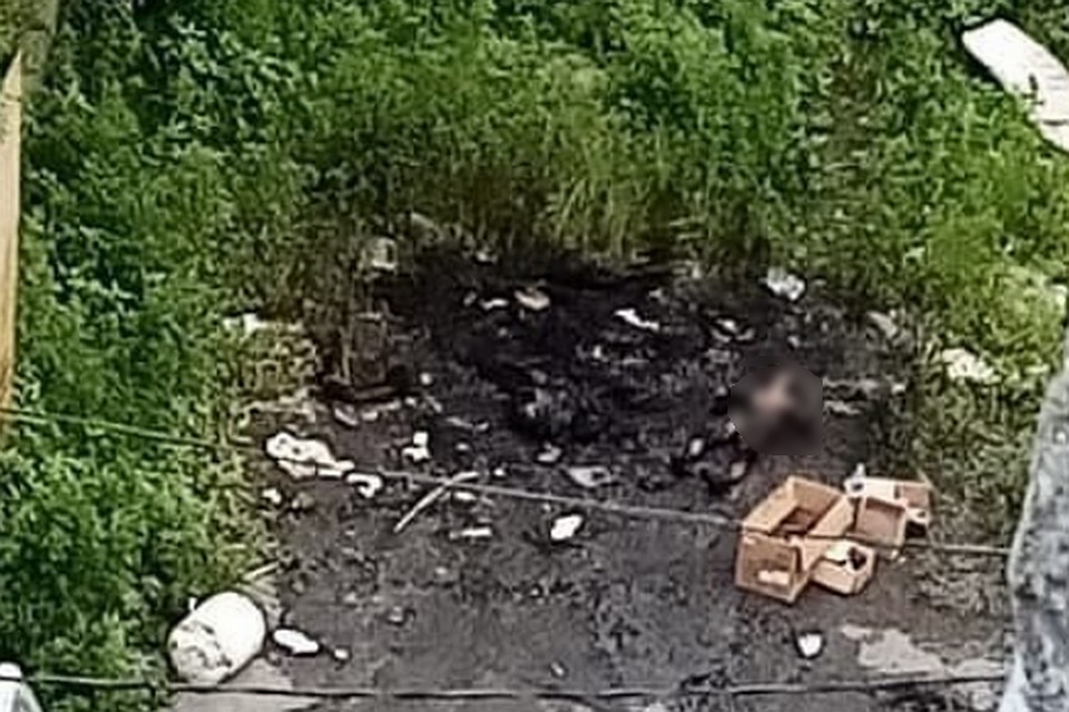 Фотографии Убитых Людей