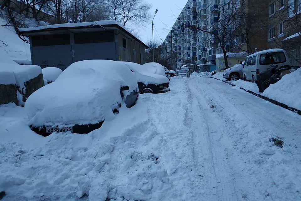 Правда будет снег. Владивосток снегопад 2022. Снегопад во Владивостоке. Двор занесенный снегом. Владивосток снегопад машины.